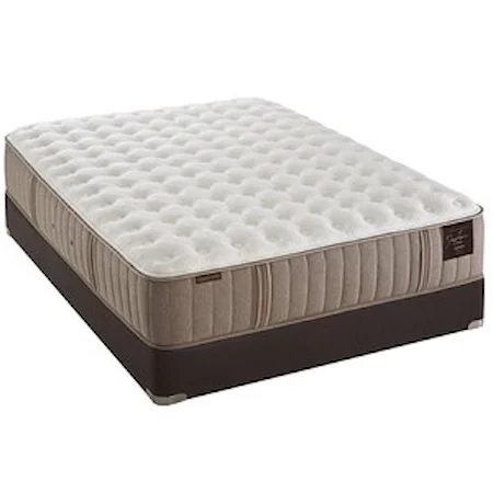 Queen Plush Tight Top Mattress and Reflexion 4 Adjustable Base